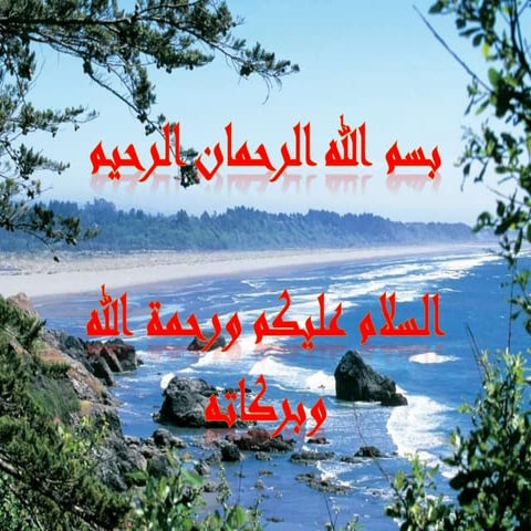 آليات وإجراءات توظيف الموارد البشرية