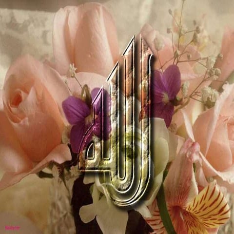 أهمية ثقافة المؤسسة في تطور أداءها ونجاحها