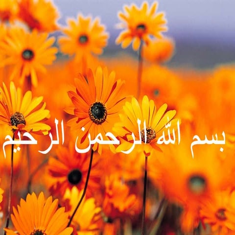 تأثير نظم المعلومات على نشاط المؤسسة