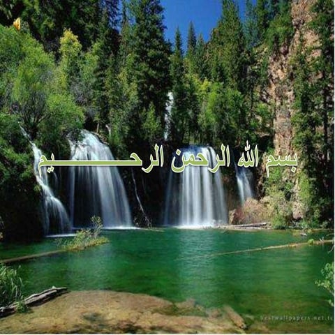 تطور مفهوم الإدارة في ظل تطور مدارس الفكر