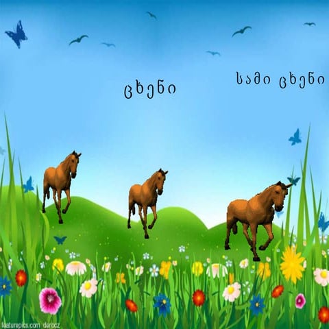 ასო ბგერა ც | PPTX