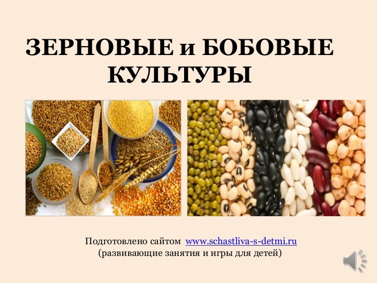 фасоль, горох, нут, чечевица. бобовые крупы. злаковые и бобовые культуры. фасоль, горох, нут, чечевица. зерновые и бобовые продукты.