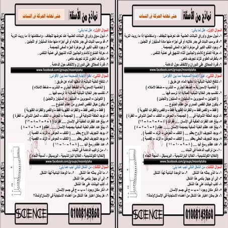 اسئلة تحصيلية حتى نهاية الحركة في النبات