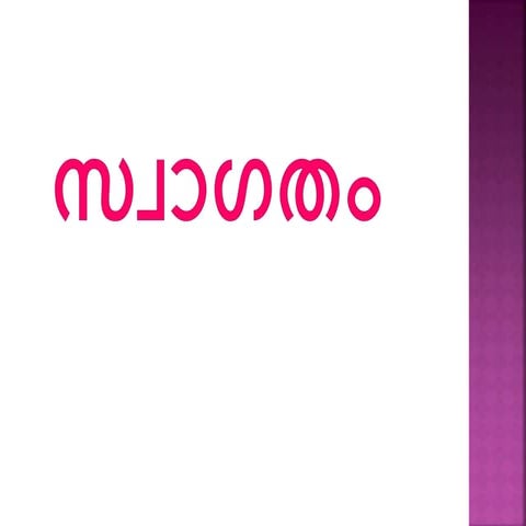 ബോർ മാതൃക