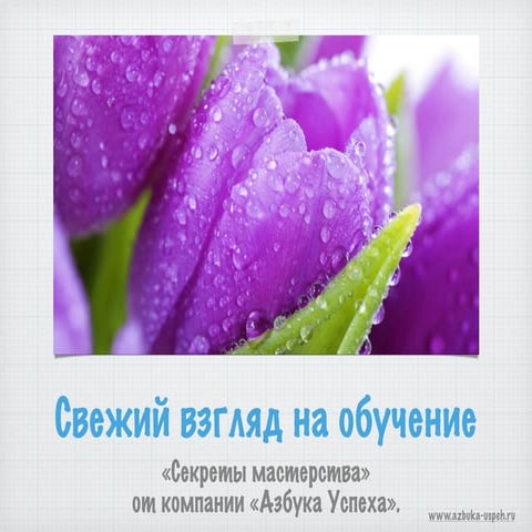 Свежий взгляд на обучение