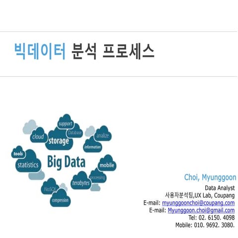 Process for Big Data Analysis