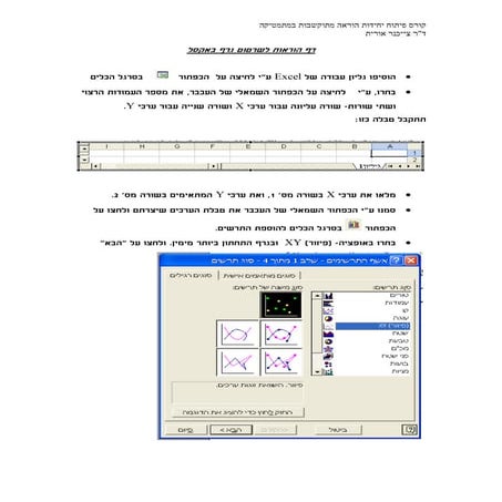 דף הוראות לשרטוט גרף באקסל