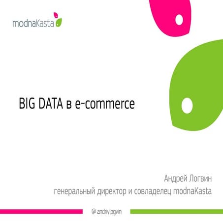А. Логвин, modnaKasta, Big Data. IT-решения маркетинговых задач 