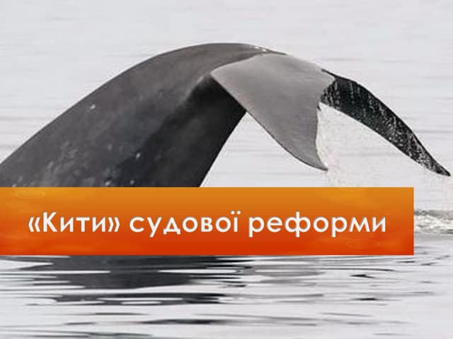 Кити судової реформи