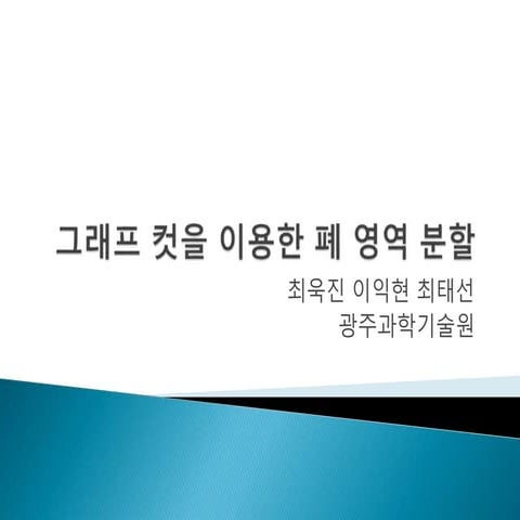 그래프 컷을 이용한 폐 영역 분할