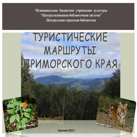 туристические маршруты приморского края