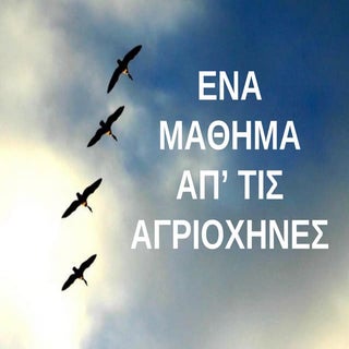 Ένα μάθημα από τις αγριοχήνες