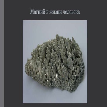 магний в жизни человека(Magnesium) | PPT