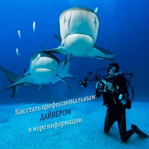 Как стать профессиональным дайвером в море информации
