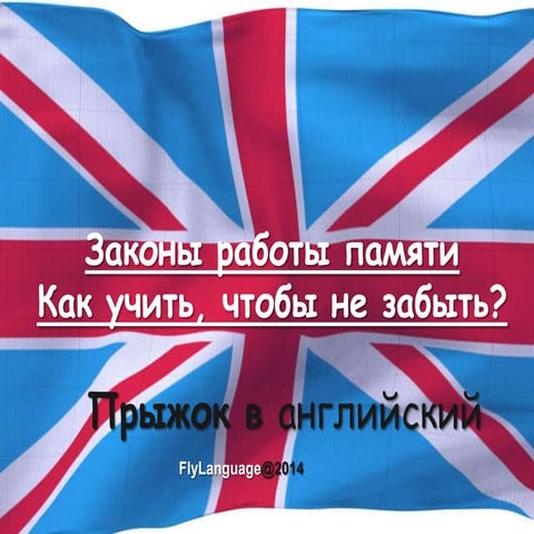 Как учить слова? Схема Эббингауза и метод 90 сек