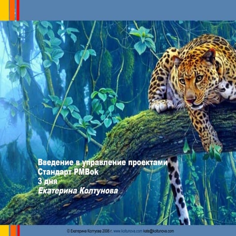 Управление проектами. Слайды к семинару.