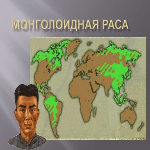 Монголоидная раса