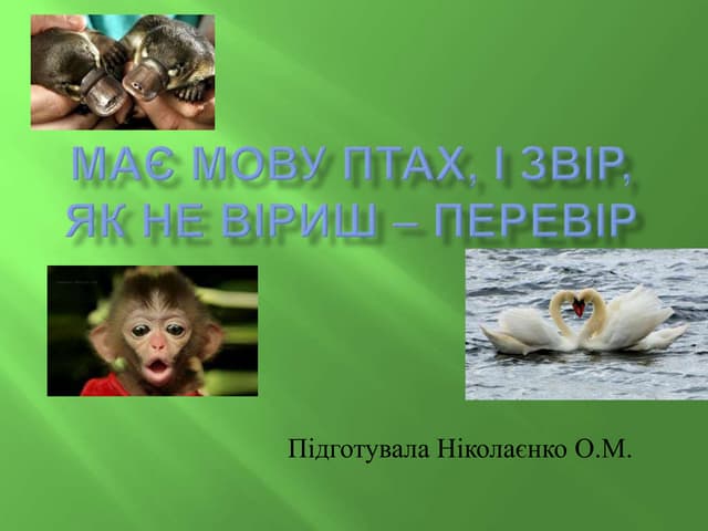 Має мову птах і звір