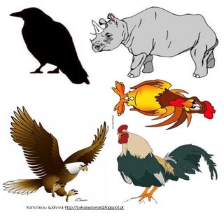 εικονες για οχταποδακη