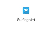 Сергей Шалаев, SurfingBird, для RIW