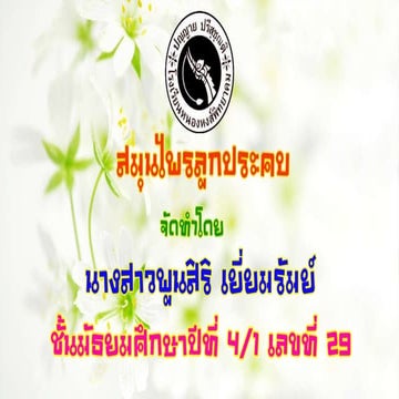 IS1_สมุนไพรลูกประคบ