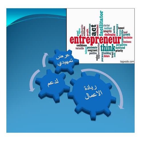 ريادة الاعمال