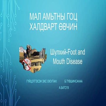Мал амьтны гоц халдварт өвчин /Animal infectious diseases/ | PPT