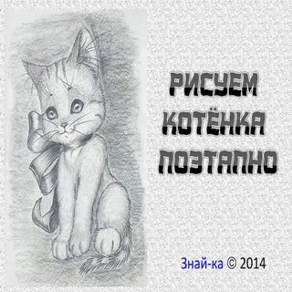 рисуем котёнка поэтапно