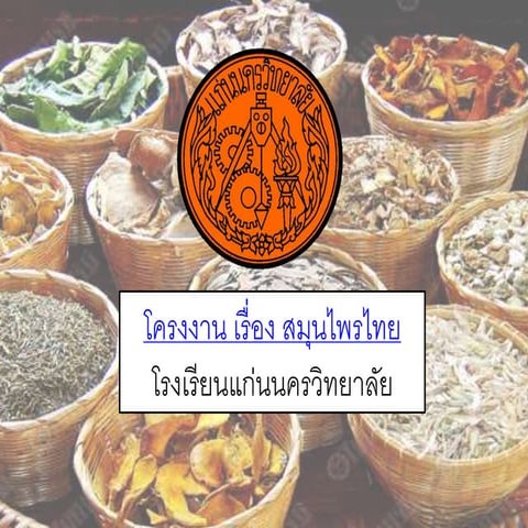 โครงงาน