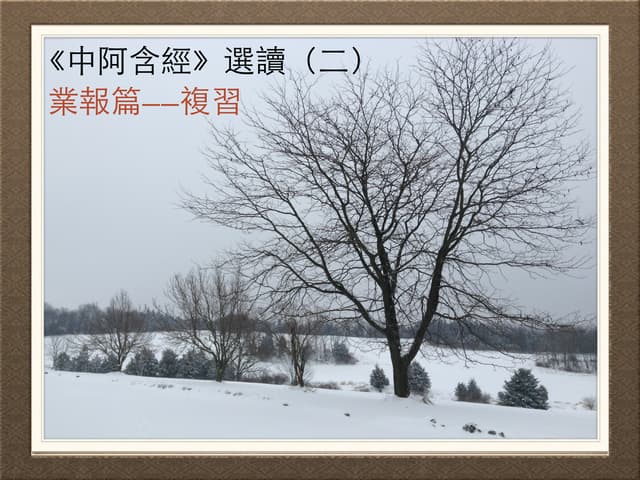 阿含經講義  安井廣度著 阿含经》三十七道品讲义PDF | PDF