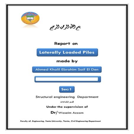 Laterally Loaded Piles