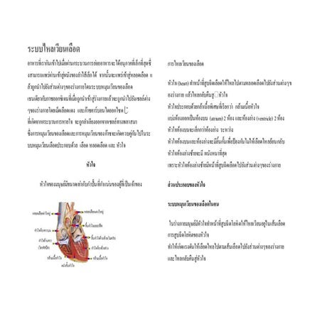 ระบบหมุนเวียดเลือด