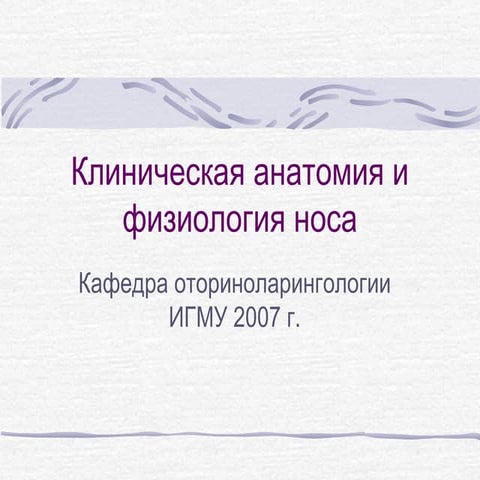 клиническая анатомия и физиология носа