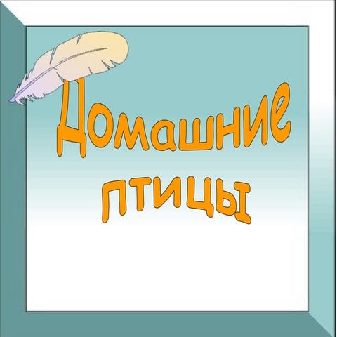 вивчаємо свійських птахів