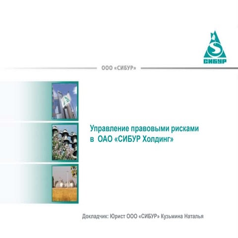 Управление правовыми рисками в ОАО " Сибур Холдинг"