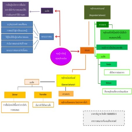 พฤติกรรมนิยม
