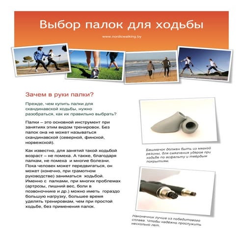 Выбор палок для скандинавской ходьбы