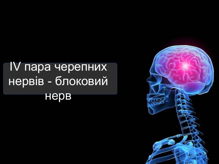 Моторная дизартрия это