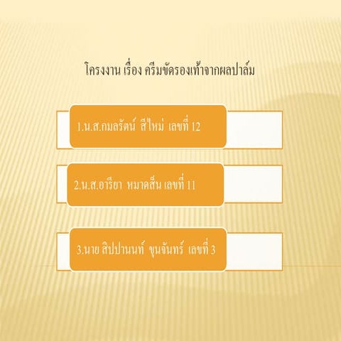 โครงงานครีมขัดรองเท้า