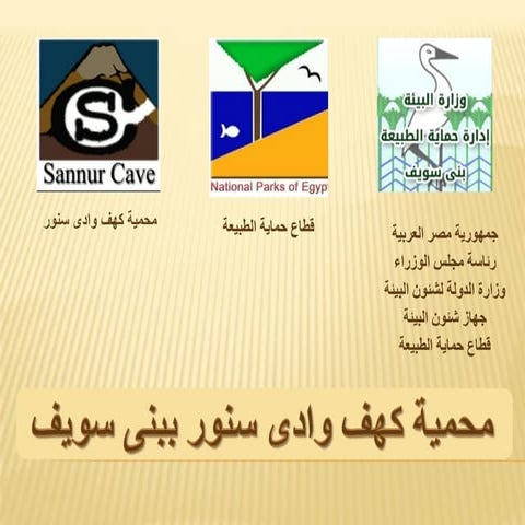 محمية كهف وادي سنور ببنى سويف