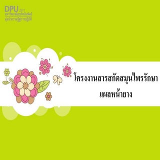 โครงงานสารสกัดสมุนไพรรักษาแผลหน้ายา...