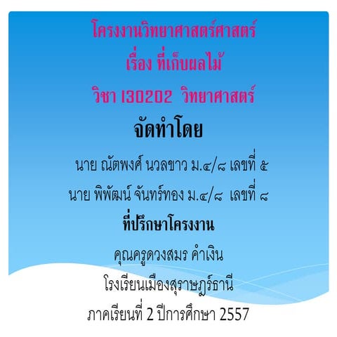 ที่เก็บผลไม้