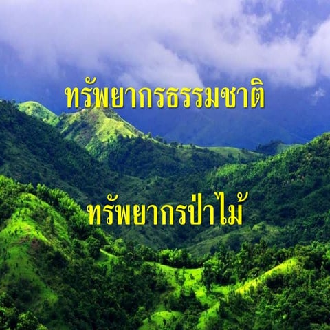ทรัพยากรธรรมชาติ