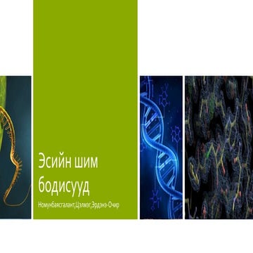 эсийн бүтэц