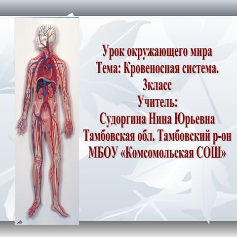 урок+по+окр+мир+с+тркм.Ppt