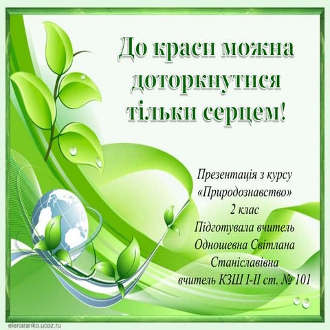 презентація до уроку первоцвіти