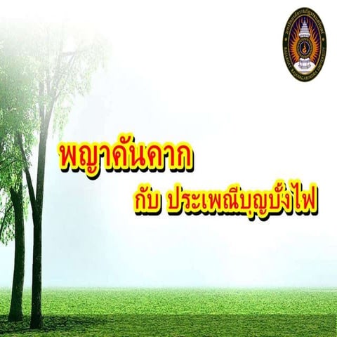 พญาคันคาก กับประเพณีบุญบั้งไฟ