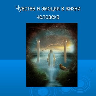 чувства и эмоции в жизни человека