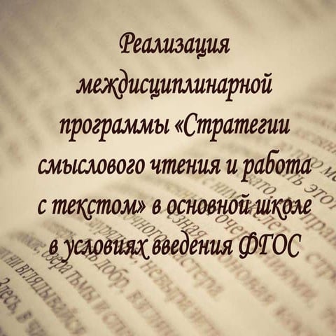 стратегия смыслового чтения