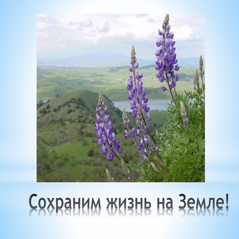 сохраним жизнь на земле! | PPT